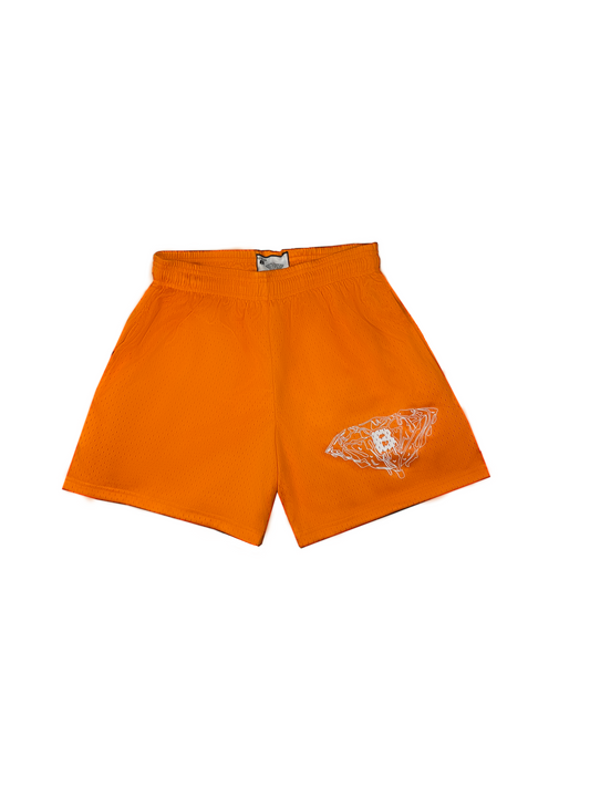 BLASÉ ORANGE SHORTS